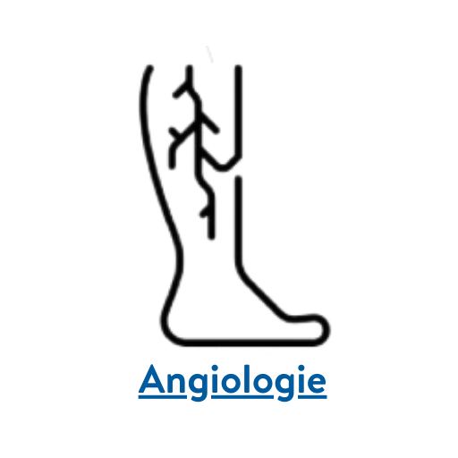 Angiologie